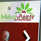 Muñoz y Pujante